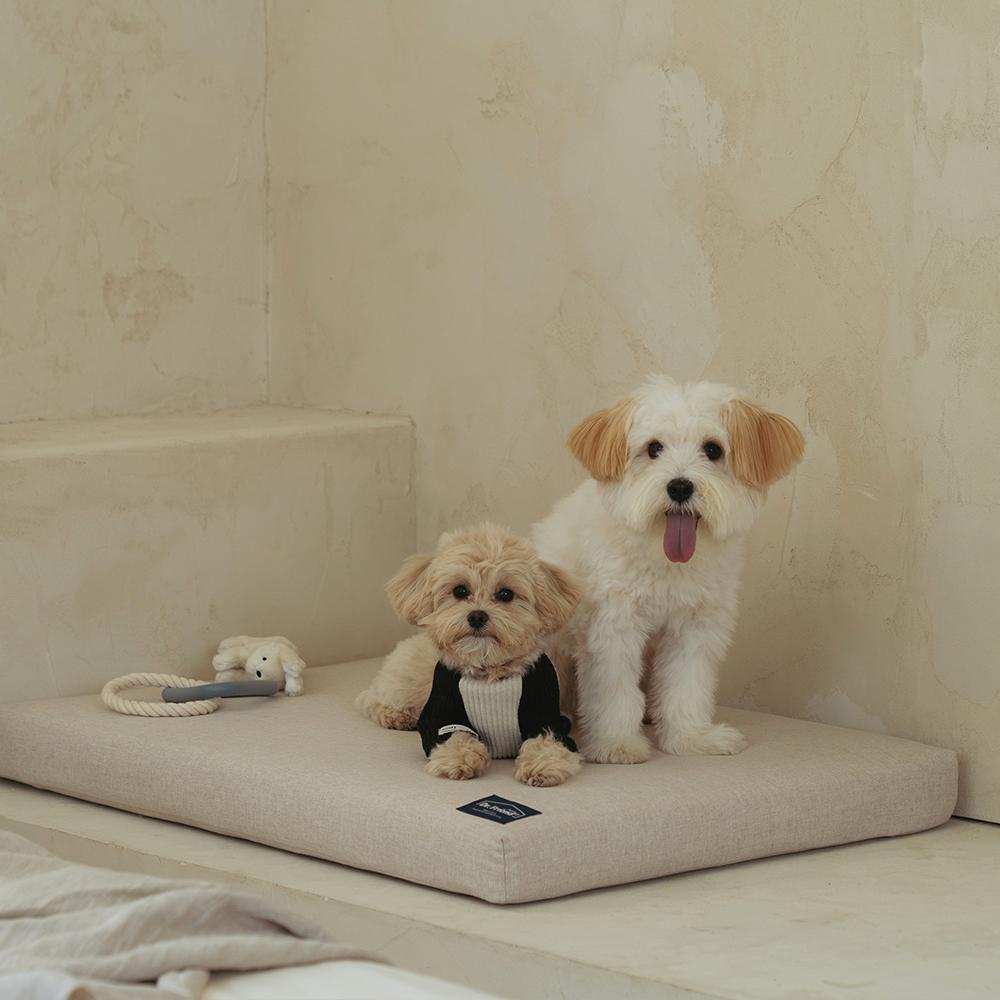 Dr.Friend Puppy Zero Electromagnetic Waves Sleep Care Bed Pad (Large)