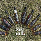 detail image2 Gombo cabbage fermented vinegar