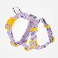 full image Fit Band Harness