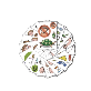 full image ICON Flash Card