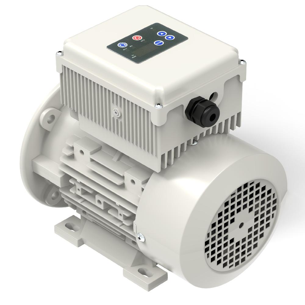 Inverter Motor
