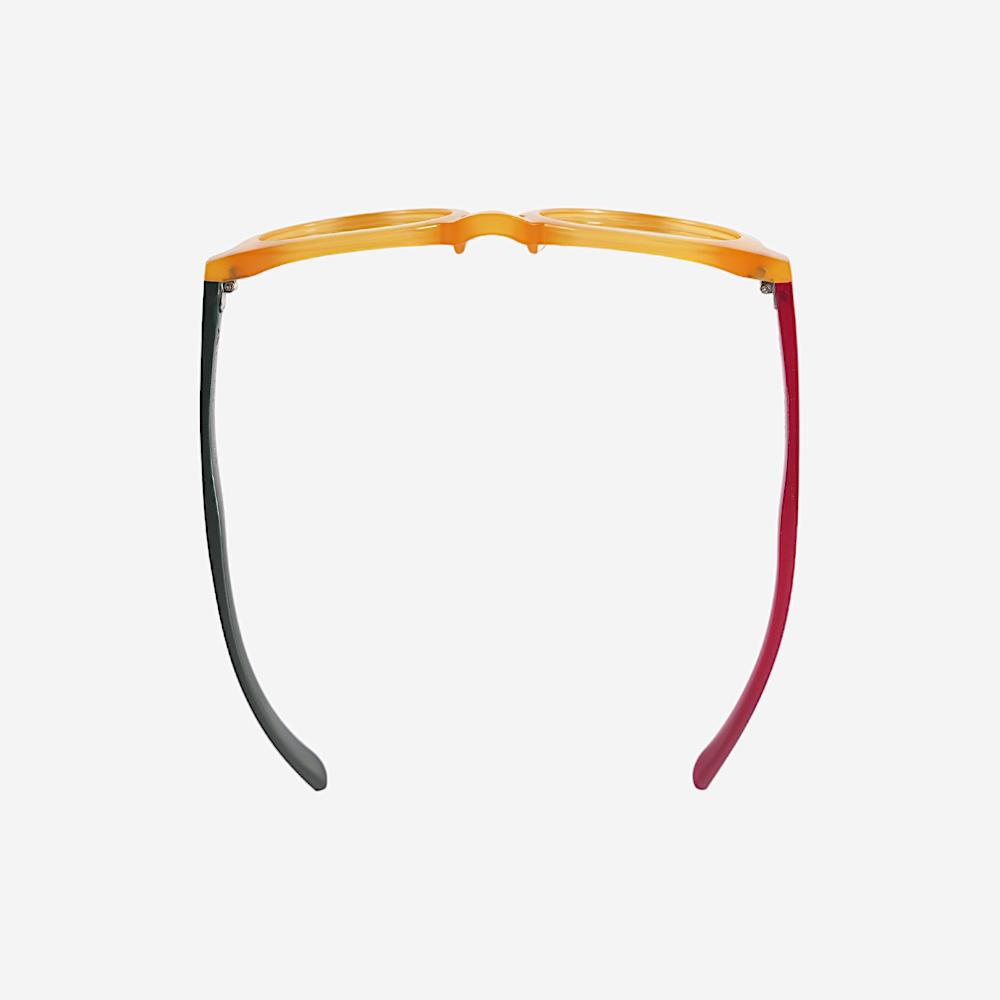 GLASSES/SUNGLASSES