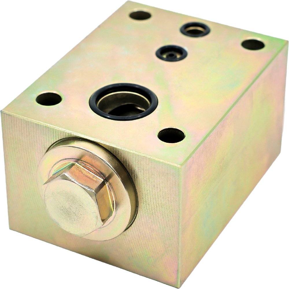 Check Valve