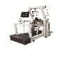 full image Walkbot S