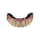 detail image1 Premium Full Service Digital Dental Lab
