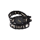 full image Cloeasy belt GB1002