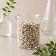 detail image2 Coral Sand Media (Natural Marine Mineral)