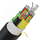 full image Hybrid Toneable Drop Cable